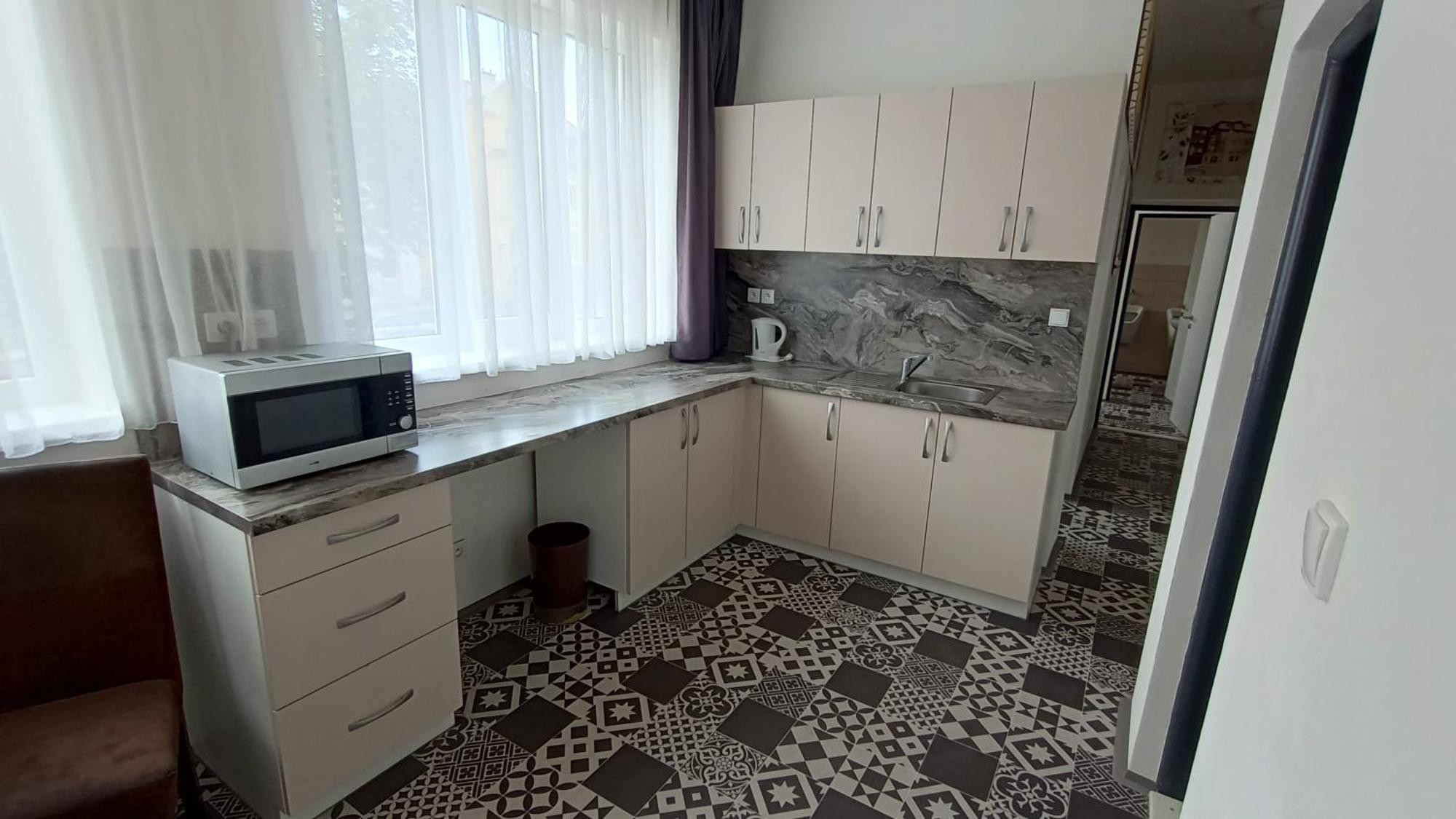 Apartments Gato Karlovy Vary Stara Role Номер фото